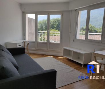 Location Appartement 1 pièce 29m² GRENOBLE 38100 - Photo 1