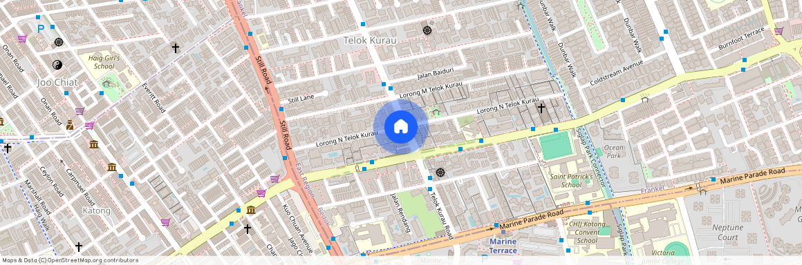 308 Telok Kurau Road, D15, 423858, Singapore