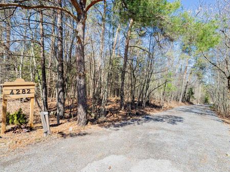 For Lease - 4282 Vivian Road, Whitchurch-Stouffville, Ontario - Photo 5