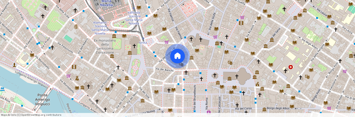 Via dellAlloro, Florence, Tuscany 50123