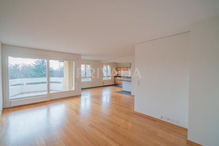 Magnifique appartement traversant avec 2 balcons et vue dégagée - Foto 5