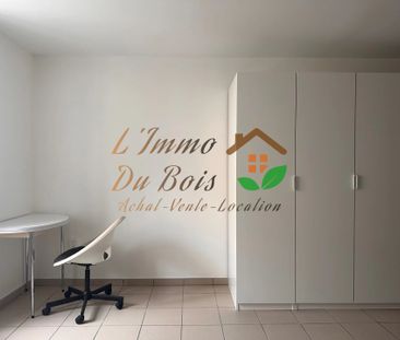 Location Appartement 1 pièce 29m² VIENNE 38200 - Photo 2