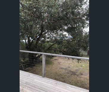 Peaceful Ventnor Living Surrounded by Nature - Photo 6