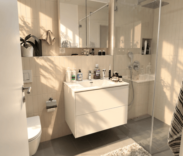 4.5-Zimmer-Maisonette mit privater Dachterrasse in Zürich-Wiedikon - Photo 3
