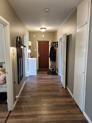 Vintergatan, Skelleftehamn - Foto 5