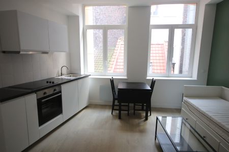 Location Appartement 1 pièce 20m² LILLE 59000 - Photo 2
