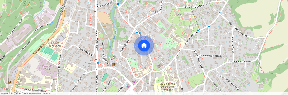 Avenue du Temple 11, 1012 Lausanne