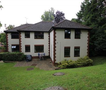 2 bed Flat for rent - Photo 4