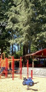 Blueridge Apartments - Photo 3