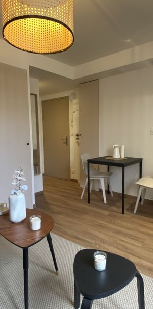 STUDIO MEUBLE 20M2 GARE SAINT JEAN - Photo 1