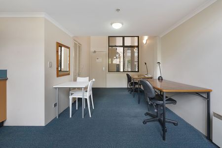 Unit 1039/211 Broadway, Ultimo - Photo 5