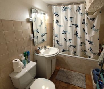 Appartement 1 pièce à Metz - Photo 3