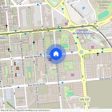 Avenida do Comendador Ferreira Matos, Portugalia, Matosinhos