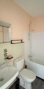 Location Appartement 1 pièce 22m² DIJON 21000 - Photo 3