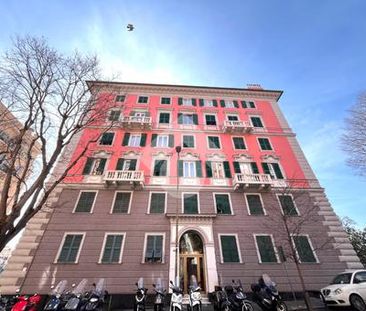 5 locali in affitto - Photo 3
