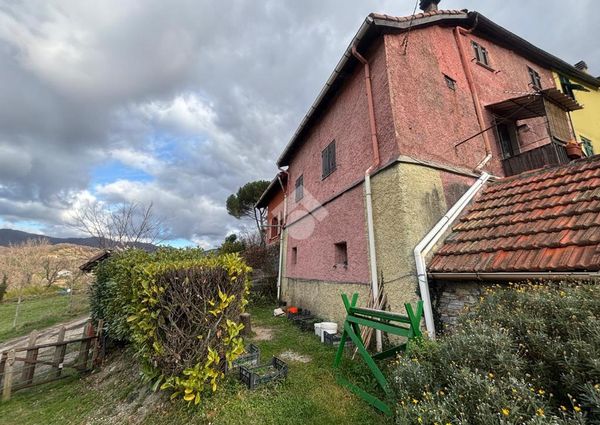 Porzione di bifamiliare in affitto