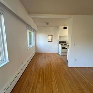 Extra large one bedroom hardwood renovated - Photo 2