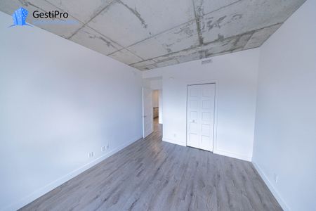 175 St-Vallier Est – Le Gecko - Photo 5