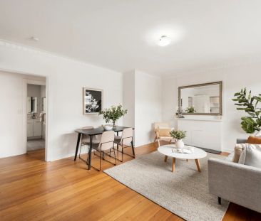 Light, bright & only a short walk to Hawksburn village! - Photo 4