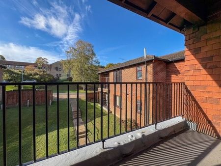 Tollwood Park, Crowborough - Photo 4