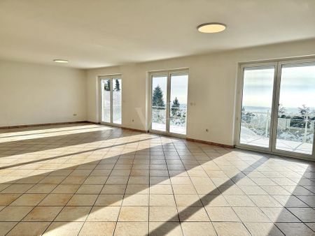 Wohnen, wo andere Urlaub machen - Sonnige Wohnung mit Skylineblick und eigenem Garten - Foto 4