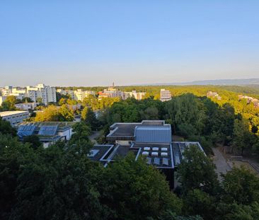1-Zimmer Wohnung in Tübingen WHO zu vermieten - Foto 1
