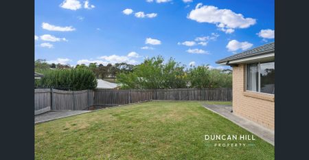 Light And Bright - Photo 3