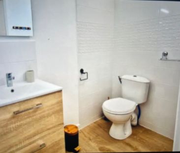 Location Appartement 1 pièce 19m² SETE 34200 - Photo 3