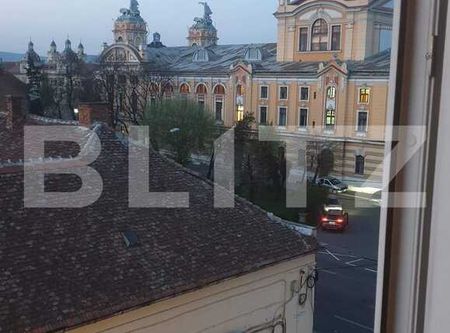 Apartament 1 camera, 30 mp, pet friendly, zona Piata Stefan Cel Mare - Fotografie 3
