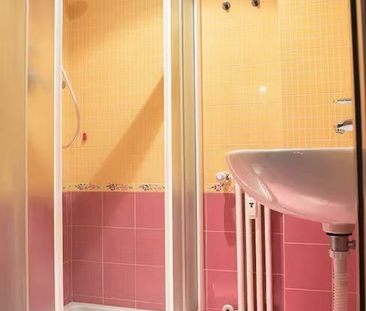 Via Pisanello, Milan, Lombardy 20146 - Photo 5