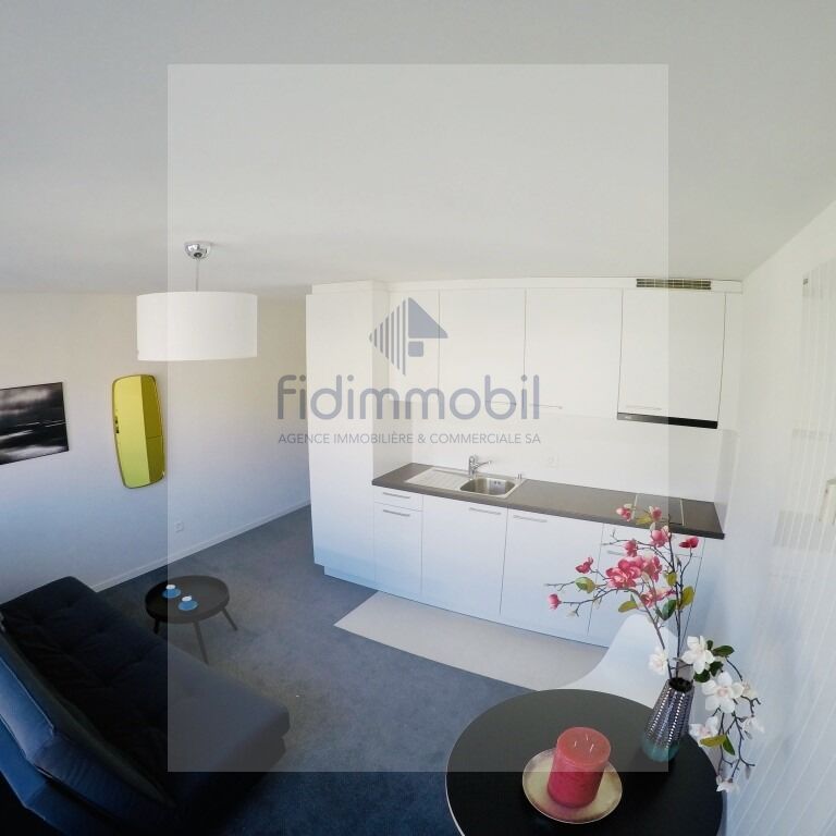 For rent, furnished studios, Parc 71, La Chaux-de-Fonds - Photo 1