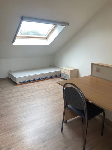 Woning met 3 slaapkamers en terras in Gent-Centrum (Cohousing toegelaten) - Photo 2