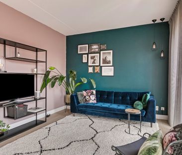 Bart Van Der Leckhof 74 - Foto 3