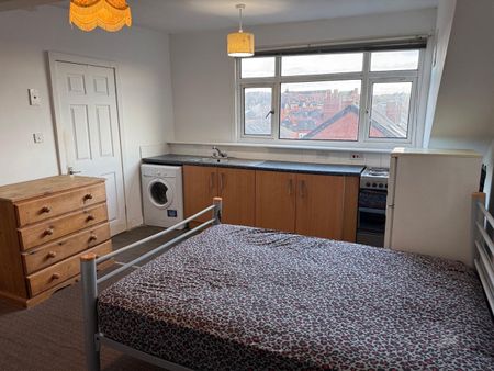 Studio Flat, Harehills Avenue, LS8 - Photo 4