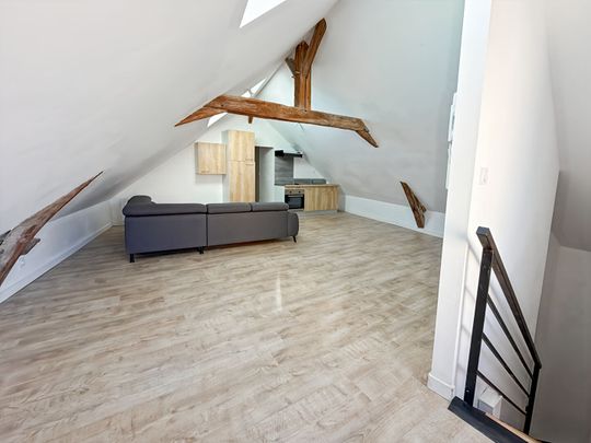 Appartement T2 Doué-en-Anjou à louer - Photo 1