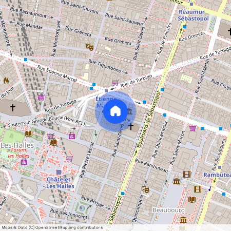 Rue du Cygne, entre Boulevard de Sebastopol et Rue Pierre Lescot 75001 Paris (1er arrondissement)