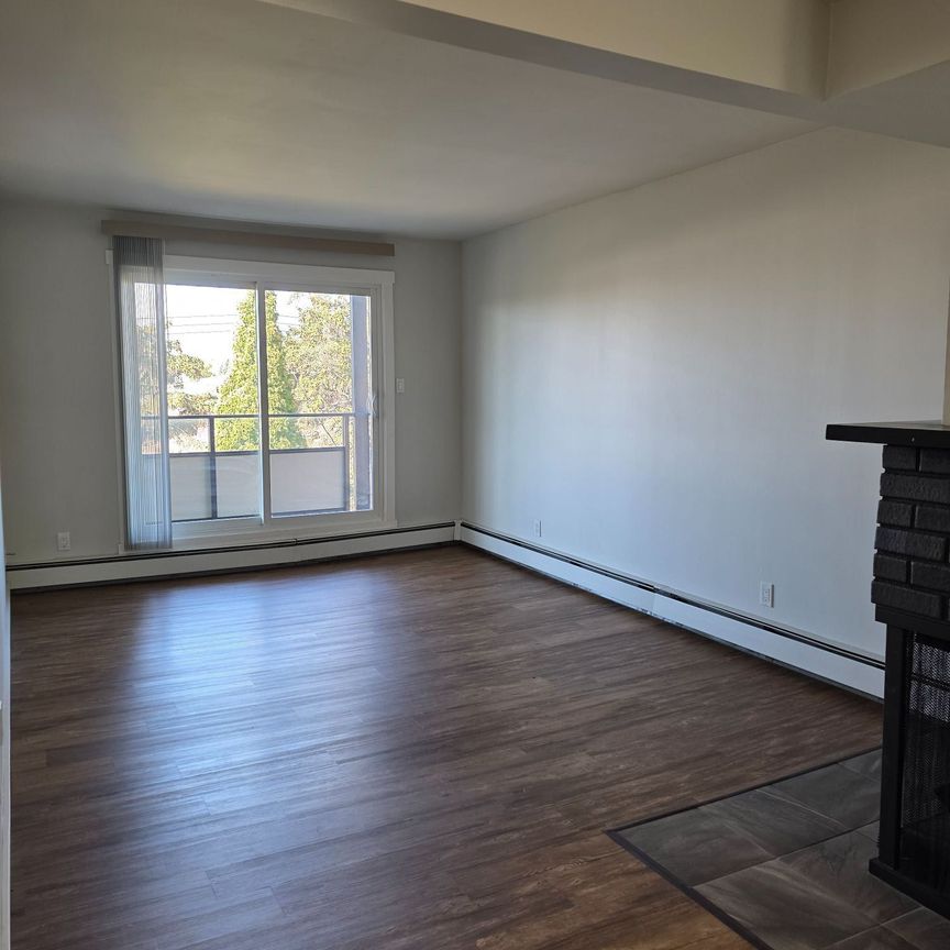 301, 6727-59 Ave, Red Deer, AB - Photo 1