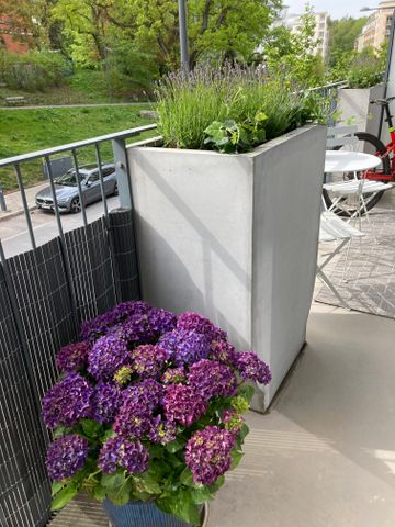 Jaktgatan, Stockholm - Photo 4