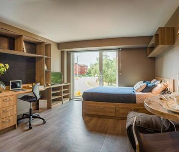 Studio to rent - Photo 3