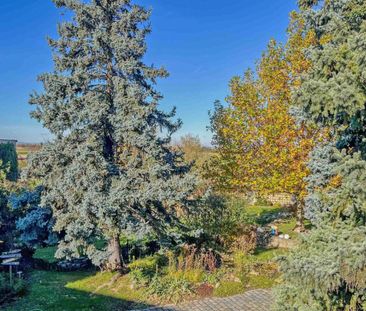 Erstbezug! Moderne 2-Zimmer Mietwohnung Nähe Bahnhof Tullnerfeld - Foto 1