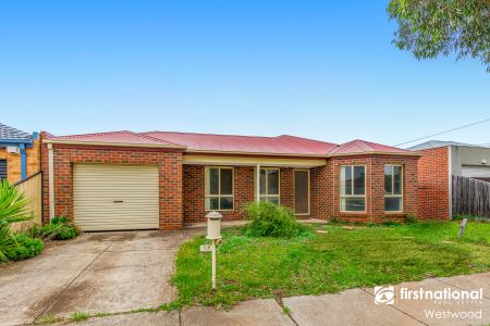 Take Flight! - Photo 4