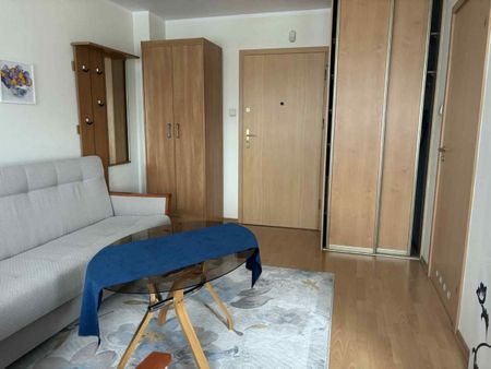 Mieszkanie do wynajęcia 1 pokoje Stanisława Szczepanowskiego, Poz 28.8 m² - Photo 5