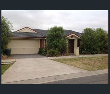 $450 PW - AVAIL 19th Feb - Photo 3