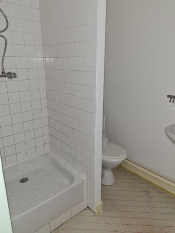 Location Appartement 1 pièce 15m² LE CREUSOT 71200 - Photo 4