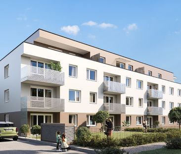 SCHEIBBS XXIII/1 - Foto 2