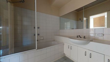 Secluded and Peaceful - Photo 5