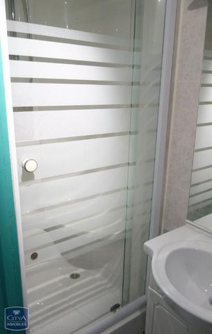 Location Appartement 1 pièce 14m² GRENOBLE 38000 - Photo 5