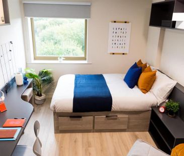 Studio to rent - Photo 1