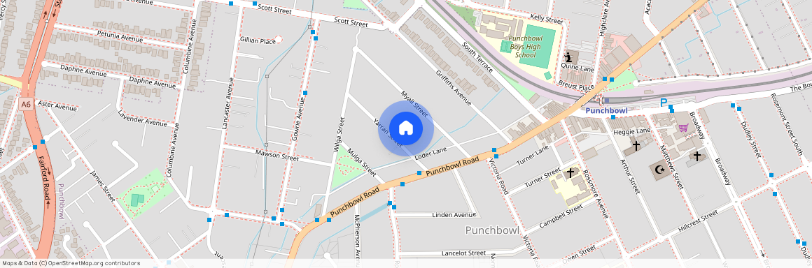 9 Yarran Street, Punchbowl, NSW 2196