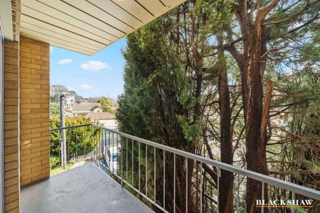 SOPHIA COURT - Photo 5